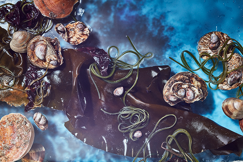 Image: Photograph by Heami Lee, food styling by C.C. Buckely, prop styling by Rebecca Bartoshesky, Art Direction by Allie Wist.